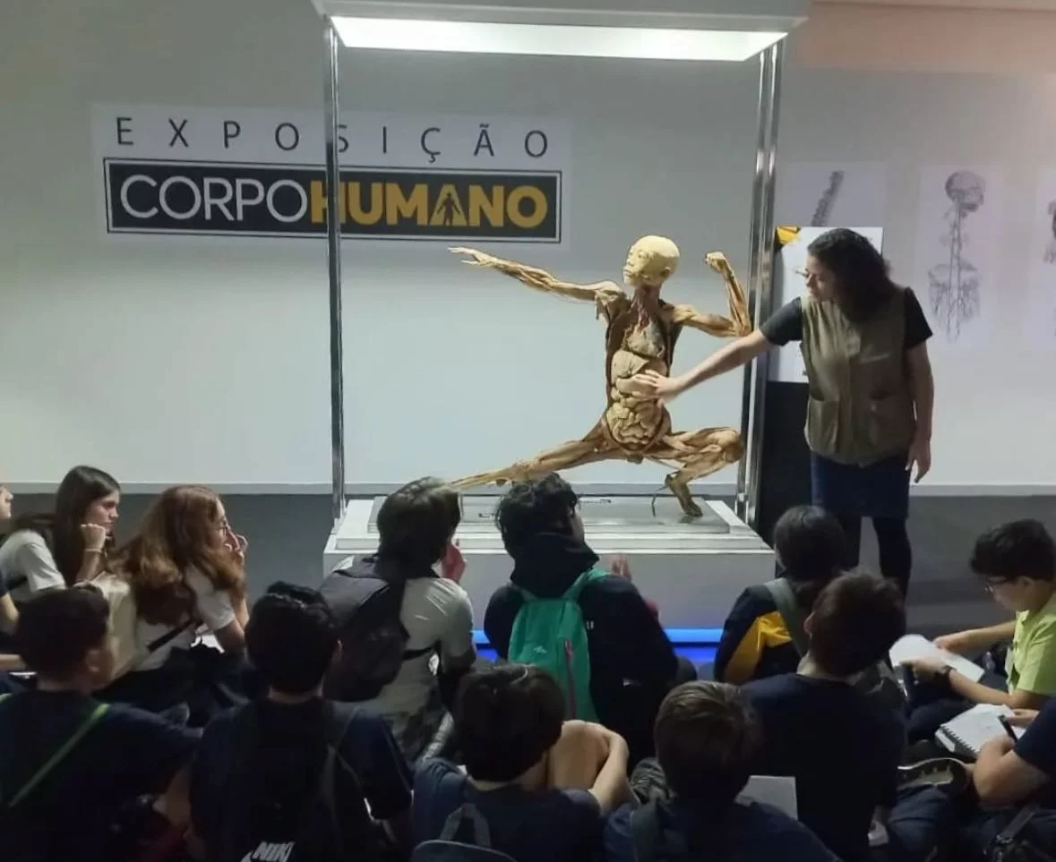 pesquisa de ampliação ateneu dez4