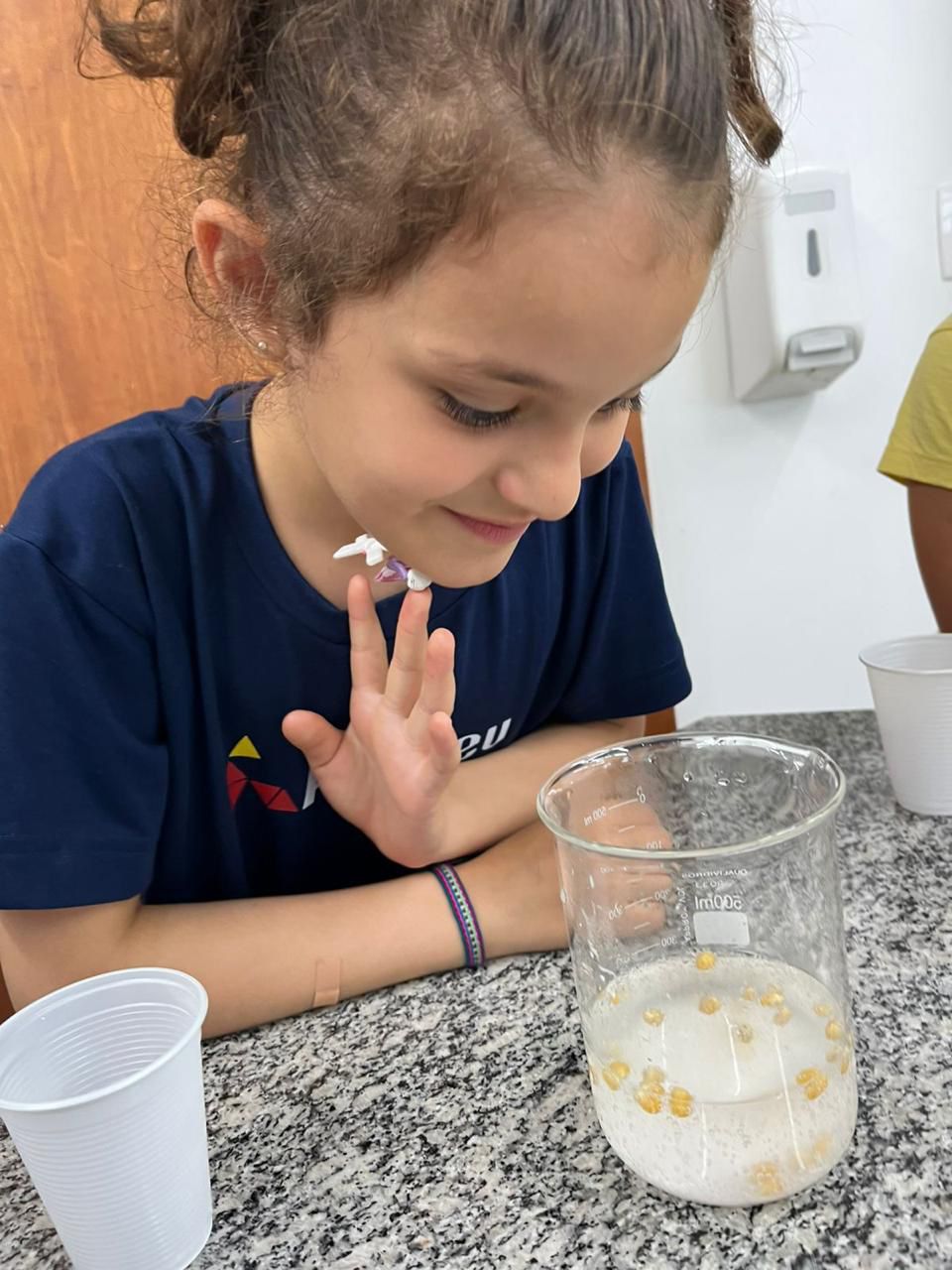 escola ateneu 5 dicas2